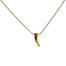 Close-up of a gold necklace featuring a small, polished tusk-shaped charm hanging from a delicate gold chain, displayed against a white background.