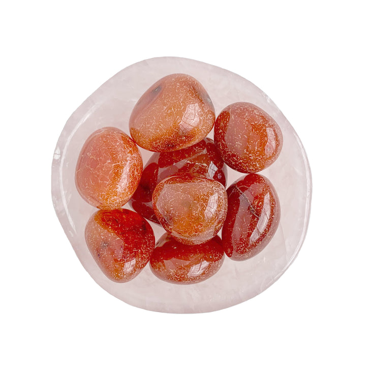 Carnelian Tumbled Stone in Rose Quartz Dish - Blooming Lotus Jewelry