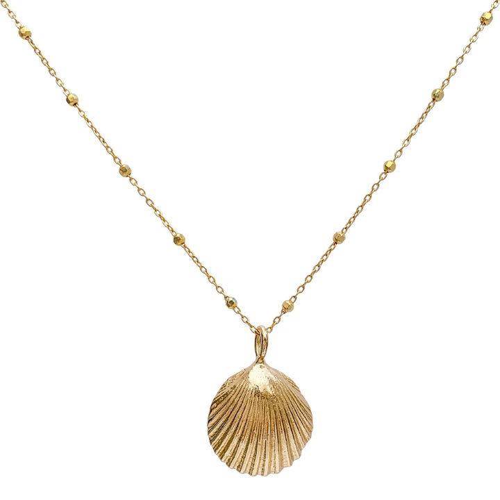 Gold shell necklace - Blooming Lotus Jewelry